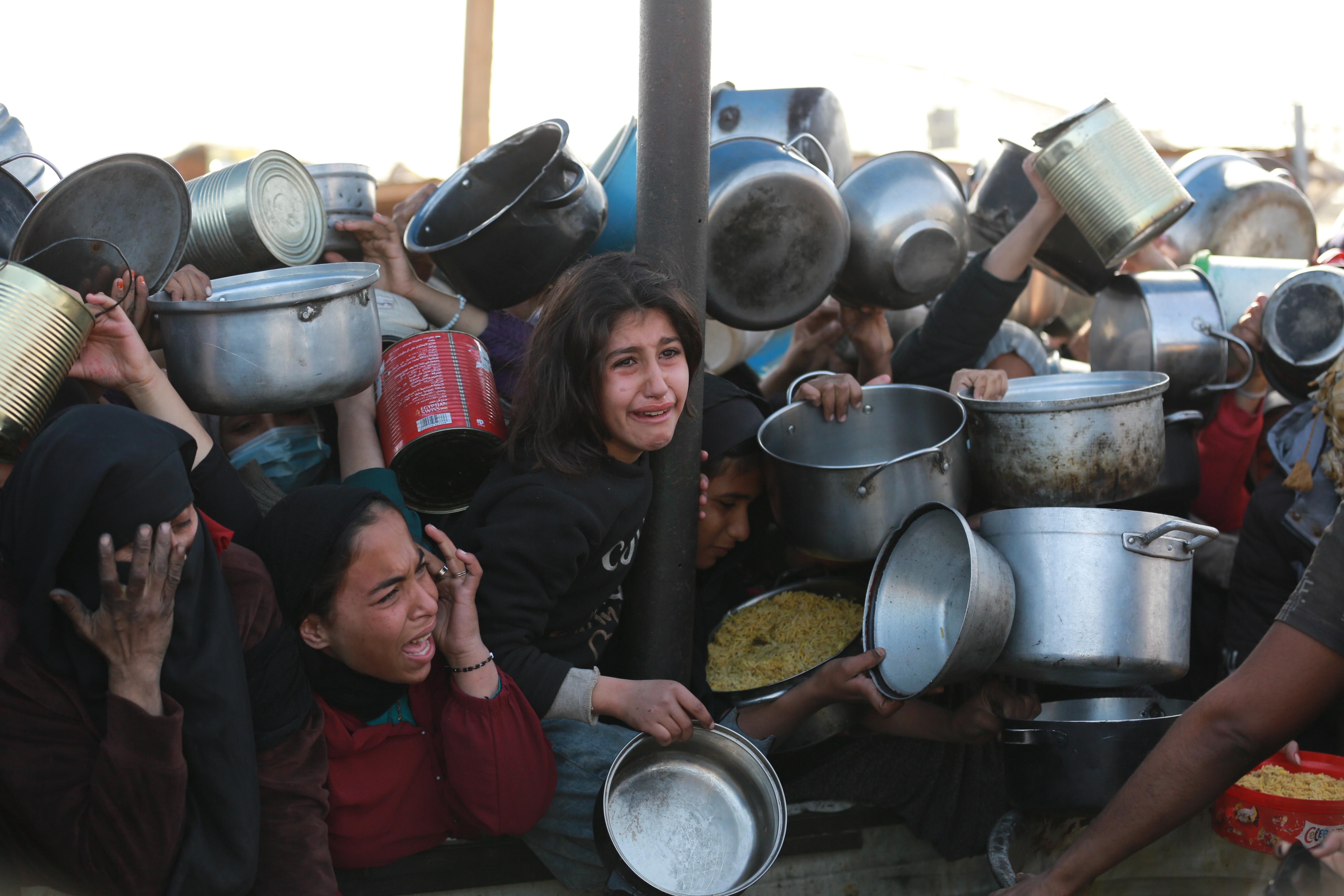 مصورو غزة يوثقون المجاعة ومعاناة الفلسطينيين فى القطاع.. صور