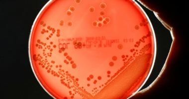 دراسة بريطانية: البكتيريا المقاومة للمضادات الحيوية تسبب ملايين الوفيات 2050
