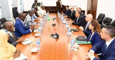 وزير الخارجية يؤكد لمستشار الأمن القومي النيجيري أهمية توثيق التعاون في مكافحة الإرهاب