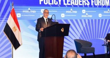 مصر ترحب بالبيان الصادر عن 25 دولة حول الوضع في الأراضي الفلسطينية المحتلة