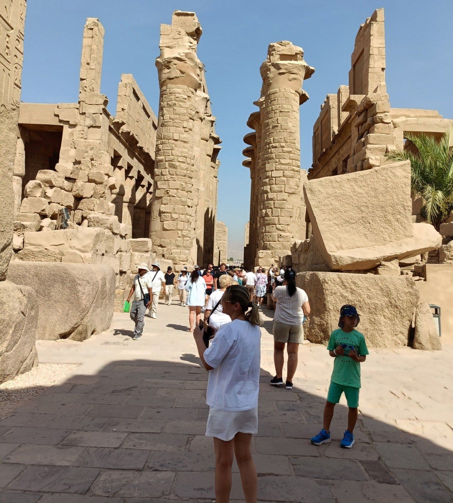 العائلات الأجنبية تستمتع بزيارة المعالم الأثرية والسياحية بالأقصر.. صور