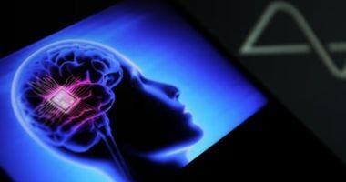 في يومها العالمى.. مم يتكون دماغ الانسان وكيف يعمل