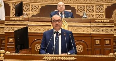 محمد شيمى: 74 مليار جنيه حجم الإيرادات المتوقعة للقابضة المعدنية العام المقبل