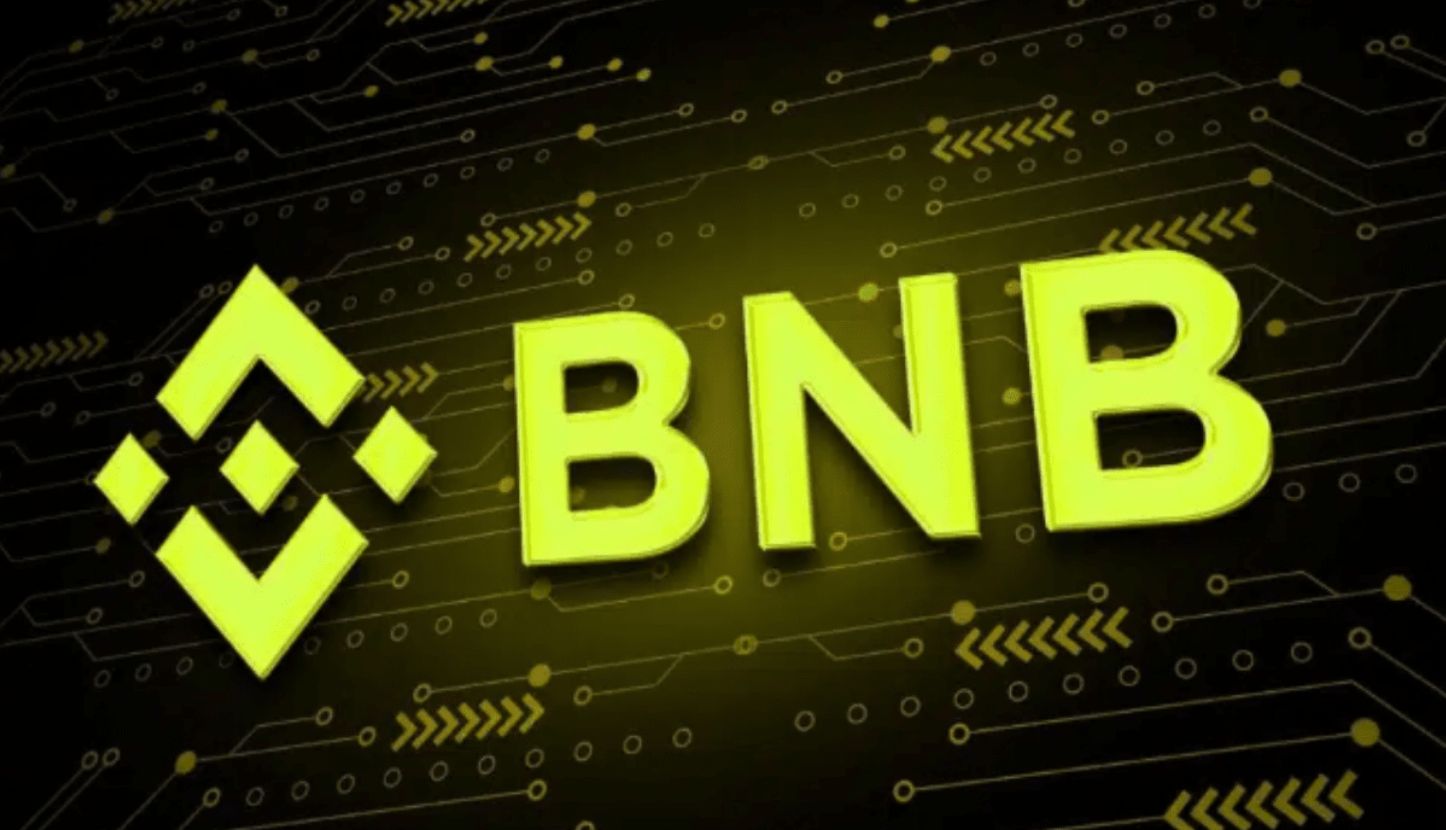 العملة الرقمية BNB تسجل أعلى مستوى لها على الإطلاق