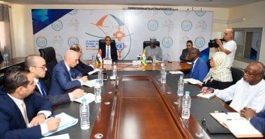مشاورات سياسية بين وزيرى خارجية مصر والنيجر فى نيامى