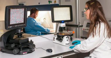 اكتشاف آلية جديدة لإصلاح الخلايا تقى من السرطان والشيخوخة المبكرة