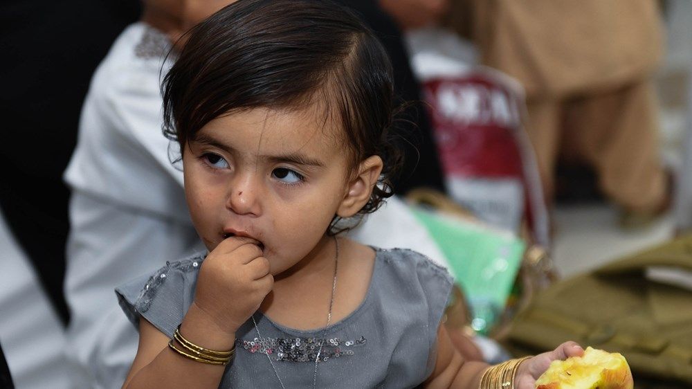 الإمارات استضافت 17.6 ألف أفغاني قبل مغادرتهم إلى وجهاتهم النهائية