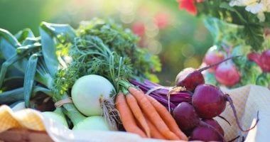 اتباع نظام غذائى مقيد بأطعمة محددة يحدث تغيرات ببكتيريا الأمعاء