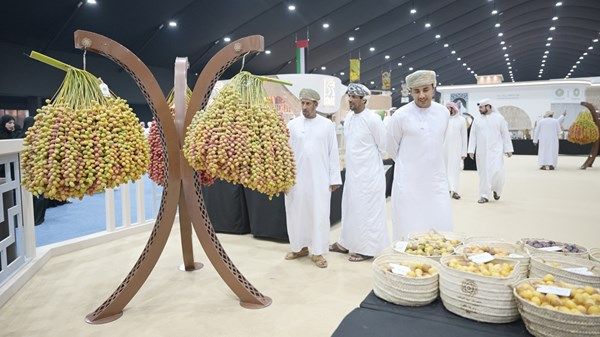 لجان التحكيم تنتهي من تقييم مشاركات المزرعة النموذجية في «ليوا للرطب»