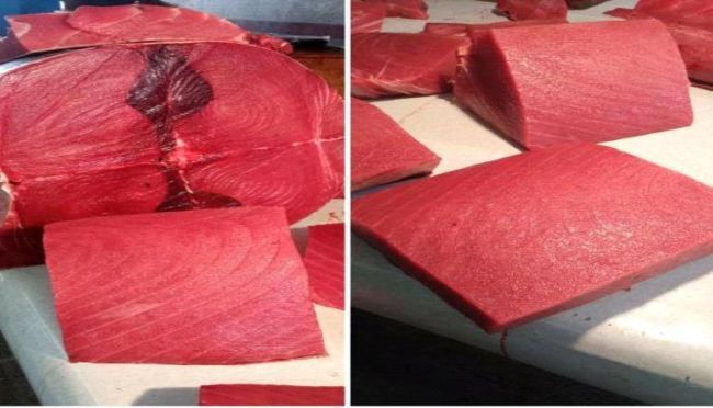 أسعار الأسماك في عدن.. تلتهب كما الجو في صيفها الحارق