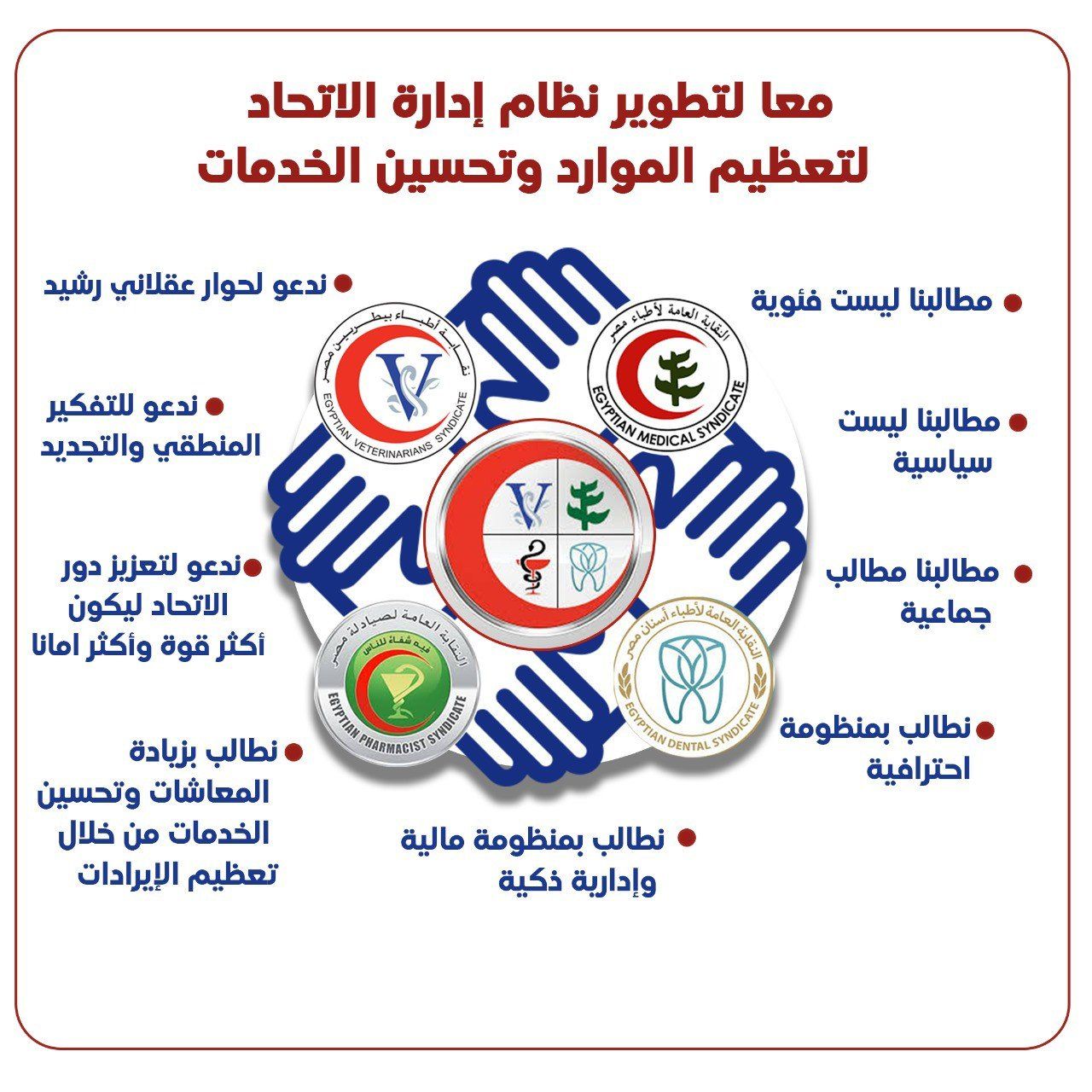 نقابة الأطباء البيطريين تطرح رؤيتها لتطوير إدارة اتحاد المهن الطبية وتعظيم موارده