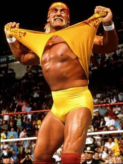 هل وفاة المصارع هالك هوجان بالسكتة القلبية نتيجة المنشطات؟.. تفاصيل