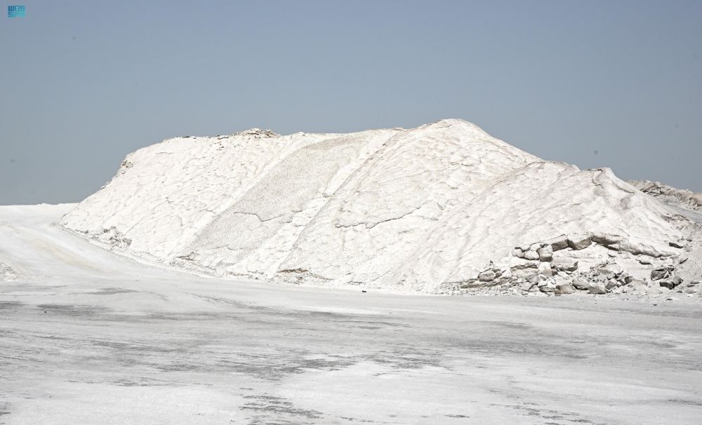مخازنه في الشرقية.. "الذهب الأبيض" يُغذي الأسواق بـ 3.7 مليارات ريال