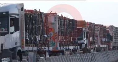 مصدر للقاهرة الإخبارية: دخول 117 شاحنة مساعدات أمس لغزة من معبرى زكيم وكرم أبو سالم