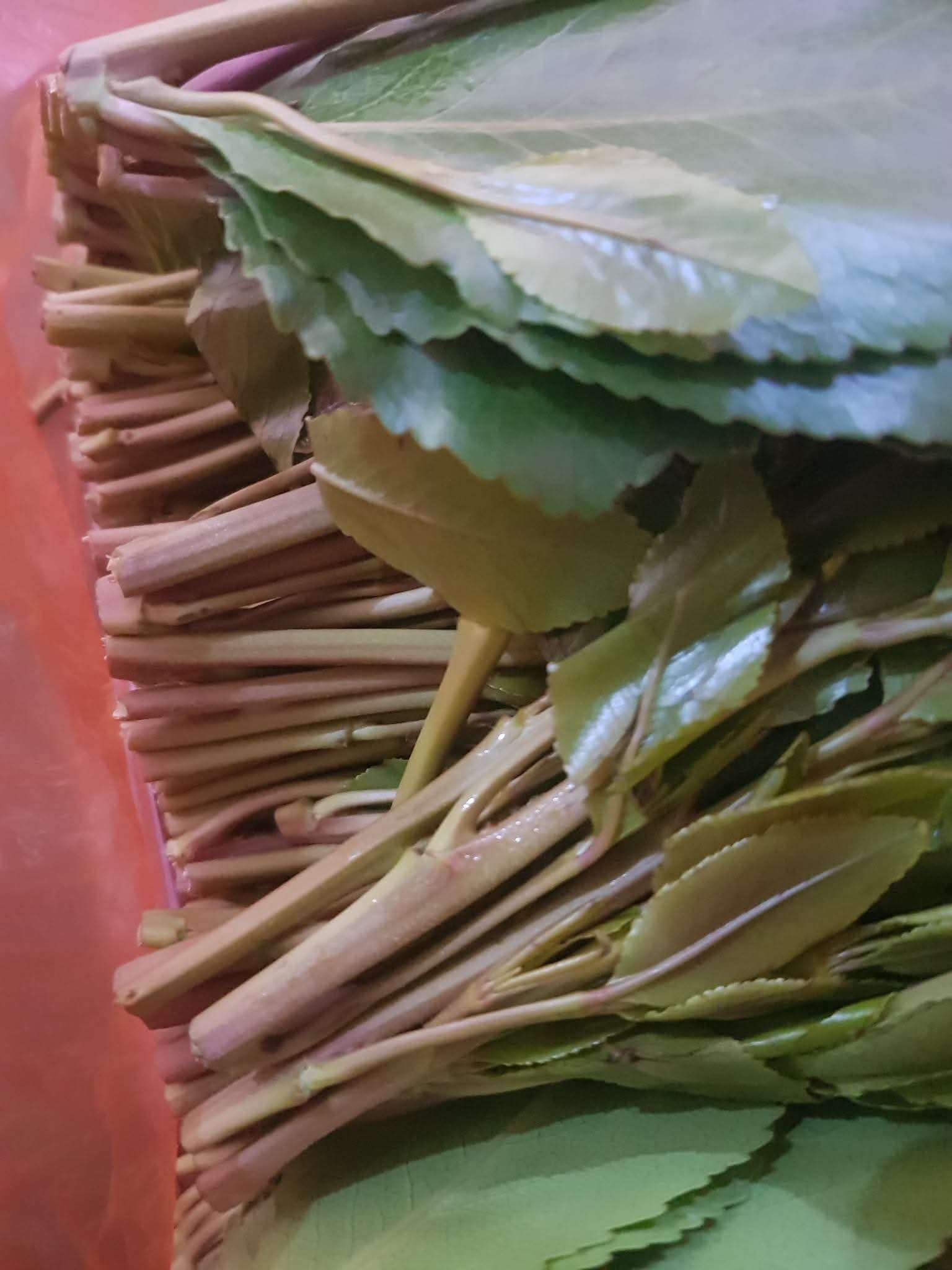 لن تصدق السبب...ارتفاع كبير باسعار القات بعدن لاول مرة