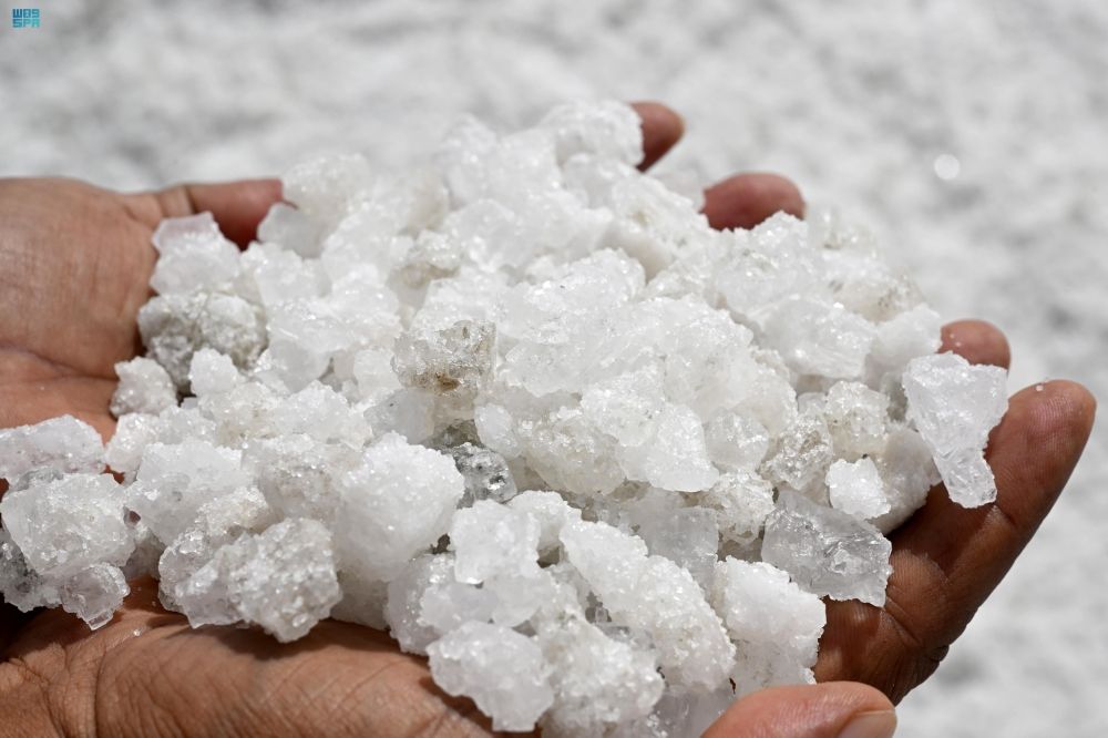 مخازنه في الشرقية.. "الذهب الأبيض" يُغذي الأسواق بـ 3.7 مليارات ريال