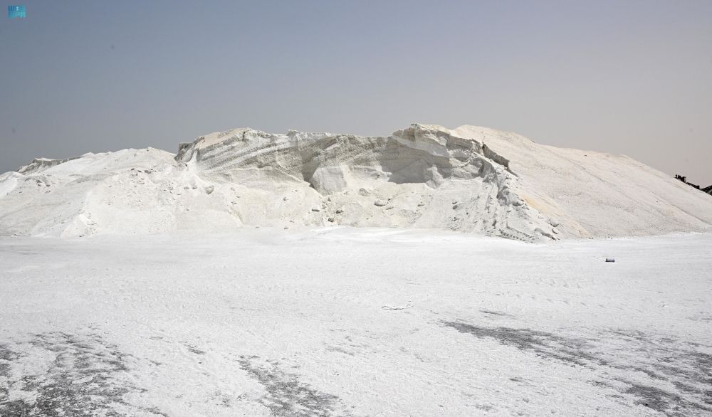 مخازنه في الشرقية.. "الذهب الأبيض" يُغذي الأسواق بـ 3.7 مليارات ريال