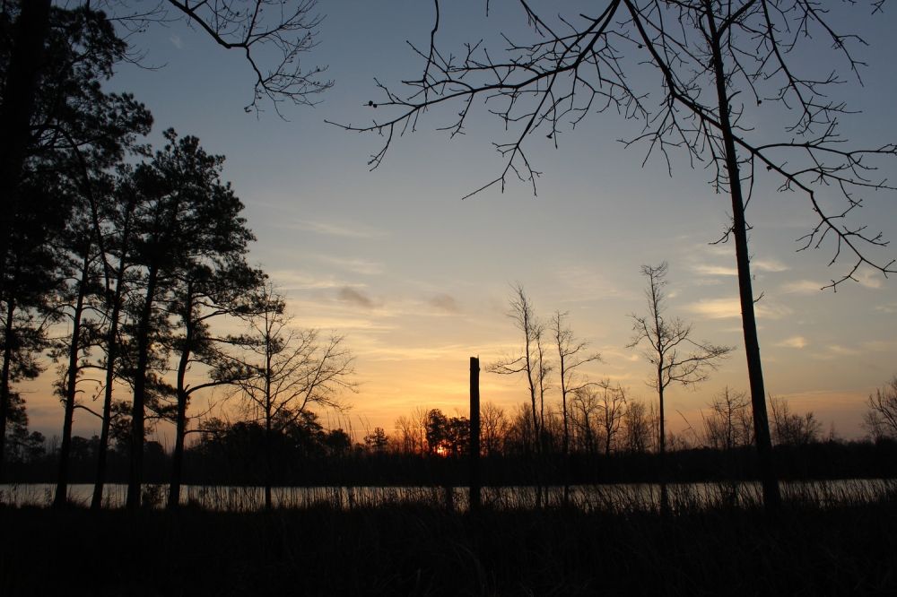 الشرقية الأعلى.. بيان درجات الحرارة والظواهر الجوية في المملكة