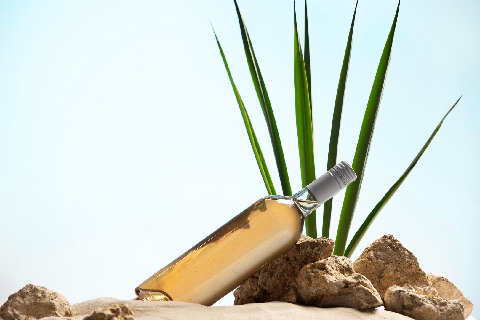 زيت الزيتون للرموش.. سر الجمال الطبيعي والنظرات الساحرة