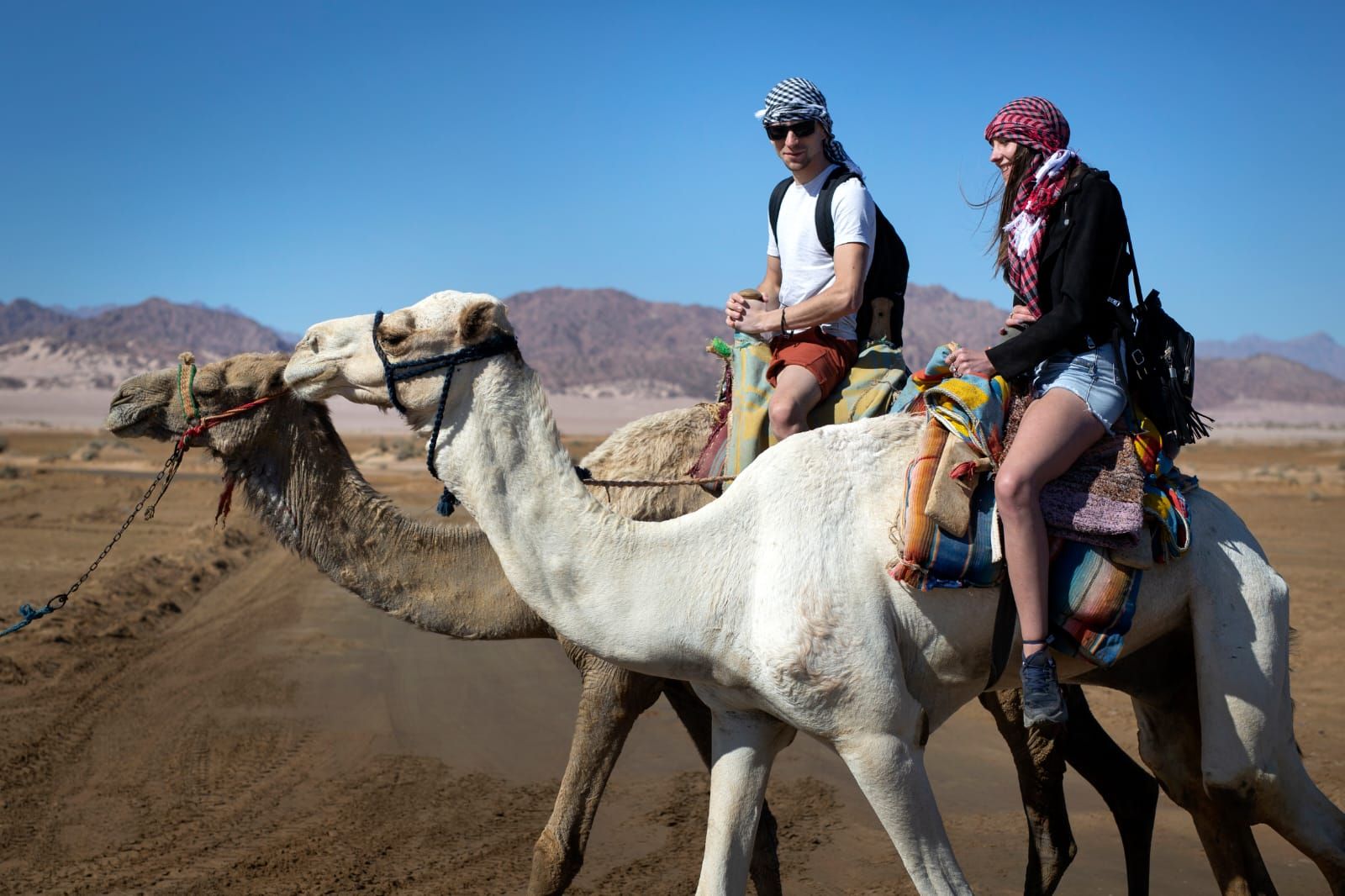 خبير سياحة بيئية: محميات مصر قادرة على جذب مليون سائح سنويا بعائد 5.2 مليار دولار