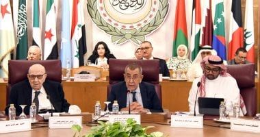 أبو الغيط يؤكد دعم الجامعة العربية للمسار القانوني لمحاسبة الاحتلال