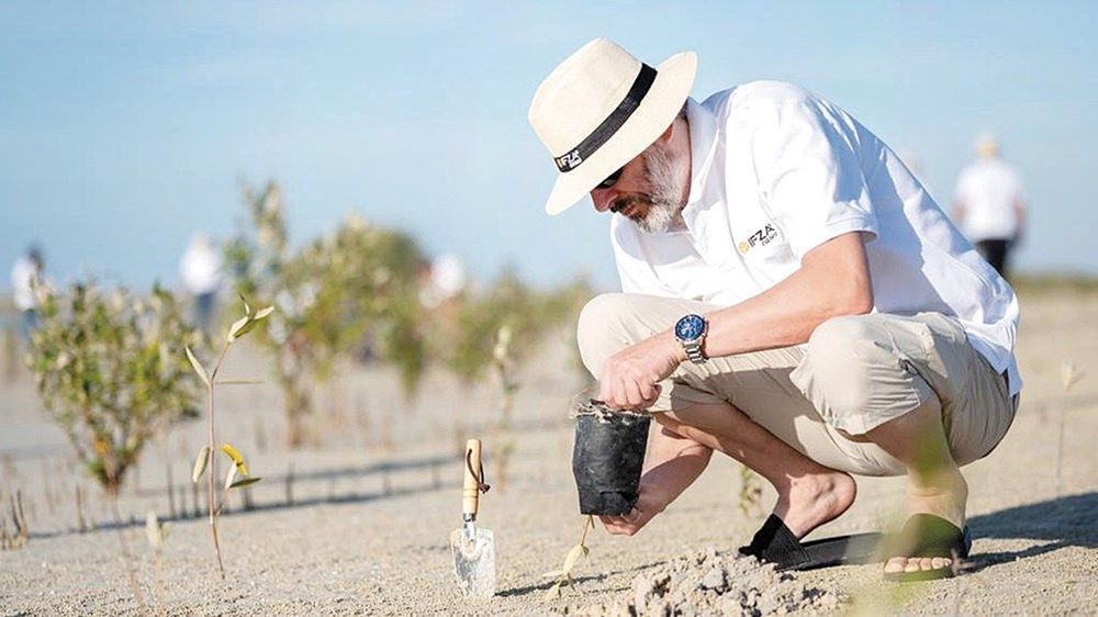 بمناسبة اليوم العالمي لصون النظم البيئية للقرم.. ريادة إماراتية في حماية غابات القرم