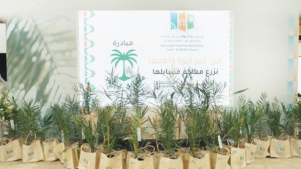 بنجاح كبير ومشاركة قياسية.. «ليوا للرطب» يختتم فعـالياته اليوم