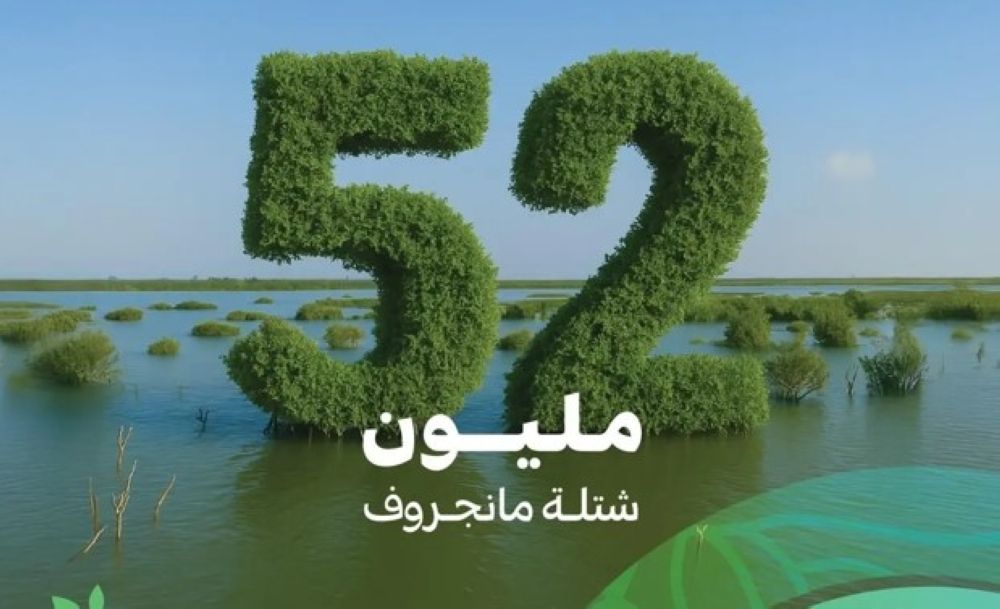 100 مليون شتلة.. المملكة تكشف مستهدفات زراعة الـ مانجروف حتى 2030