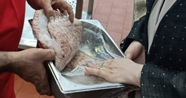 محافظة الجيزة تضبط 11.5 طن مصنّعات وهياكل ومفروم دواجن فاسدة
