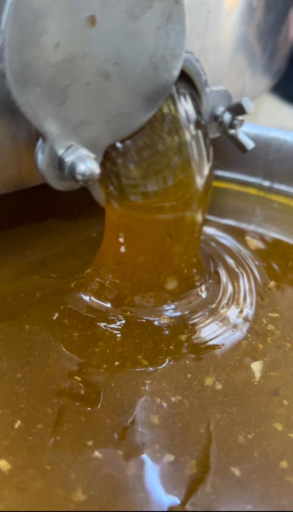 أخبار من السعودية.. خبيرة: سم النحل يستخدم لعلاج الالتهابات والمناعة الذاتية بإشراف متخصص