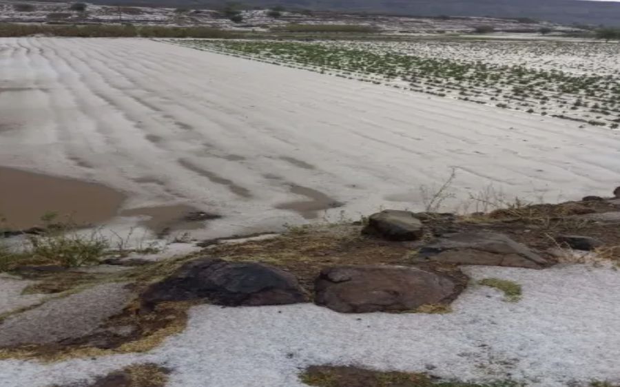 شاهد أول تساقط كثيف للثلوج هذا العام...صنعاء تتحول إلى لوحة بيضاء!