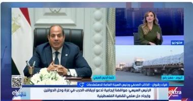 ضياء رشوان: مصر التزمت بـ3 أهداف منذ بدء العدوان.. وموقفها من القضية ثابت - الخليج 365