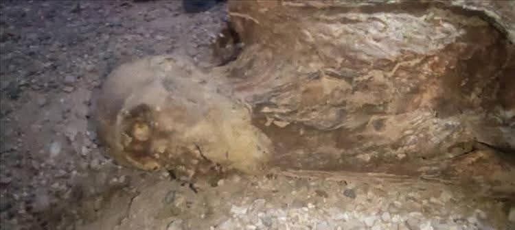 أثناء تنقيبهم عن الذهب...مواطنون في محافظة الجوف يعثرون على مومياء