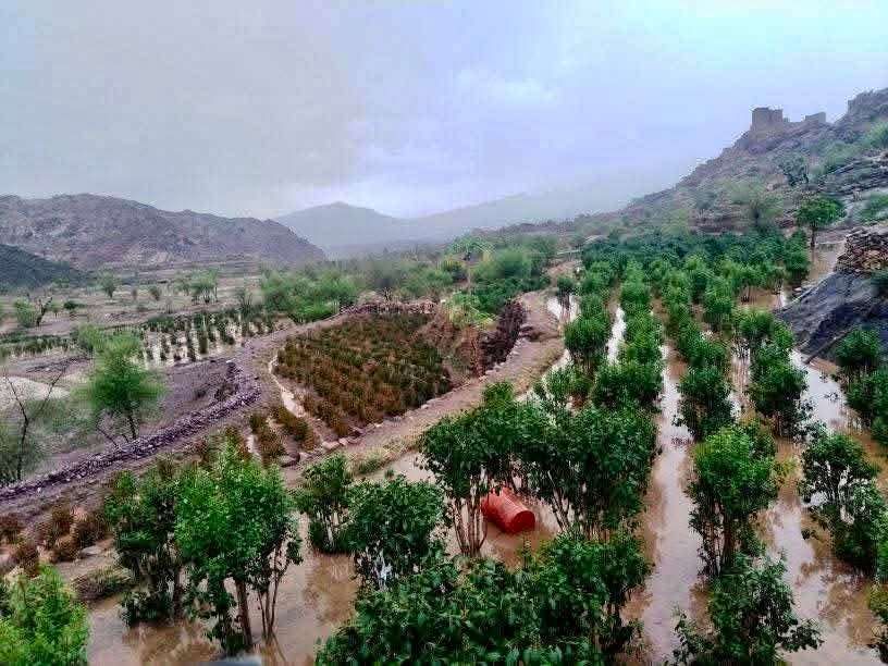 الأمطار تتسبب بفاجعة في صنعاء