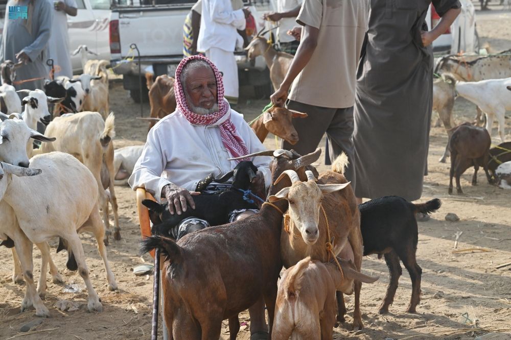 أخبار من السعودية.. إعلان تفاصيل التراخيص الإلكترونية الجديدة لصغار مربي الماشية والدواجن
