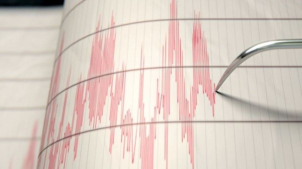 "الشبكة الوطنية لرصد الزلازل" تسجل زلزالاً في البحر الأحمر