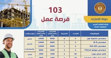 وزارة العمل تعلن عن 103 فرص عمل بالإمارات برواتب تصل إلى 160 ألف جنيه - الخليج 365