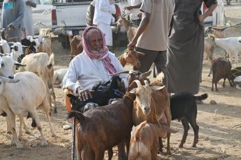أخبار من السعودية.. مجلس الوزراء: نتطلع أن يسهم المؤتمر الدولي للتسوية السلمية في تسريع الاعتراف بالدولة الفلسطينية - عاجل