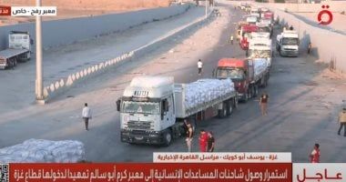 حزب الريادة: مصر ركيزة أساسية لدعم القضية الفلسطينية وحماية المدنيين فى غزة