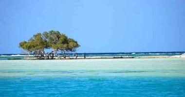 هل يستطيع "التأمين" حماية "المحميات الطبيعية " فى مصر؟