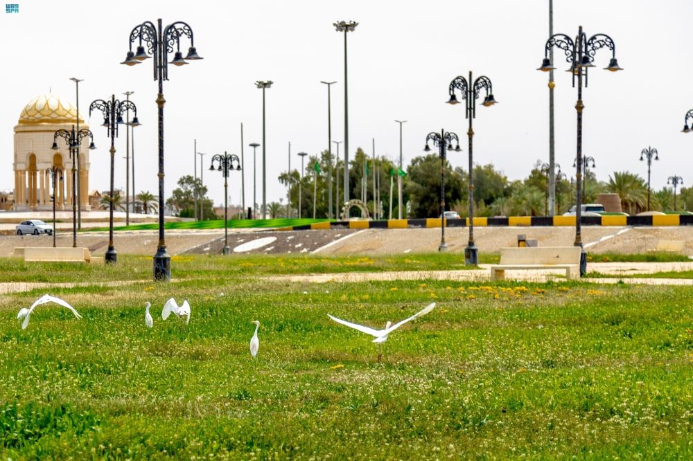 أخبار من السعودية.. عاجل: "الفضلي" يكشف عن إنجازات بيئية: ارتفاع عدد المتنزهات الوطنية إلى 500