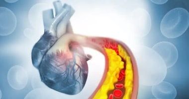 ابدأ يومك بهذه الأطعمة.. تقلل الكوليسترول وتعزز صحة القلب