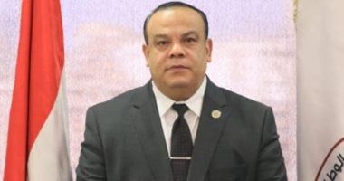 رئيس الهيئة الوطنية: جاهزون لانتخابات الشيوخ ومشاركة المصريين رسالة للعالم - الخليج 365