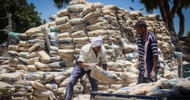 سعر الأسمنت اليوم الأربعاء 30-7-2025.. الطن بـ 4 آلاف جنيه