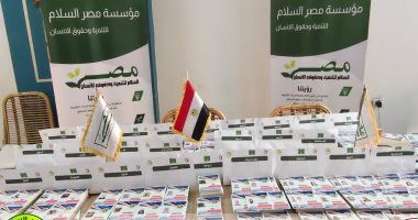 مصر السلام: تتابع التزام المرشحين والأحزاب بفترة الصمت الانتخابي في انتخابات مجلس الشيوخ 2025
