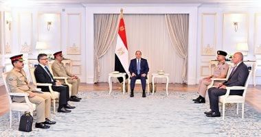 مصر وباكستان تؤكدان ضرورة توسيع الاعتراف بالدولة الفلسطينية المستقلة - الخليج 365