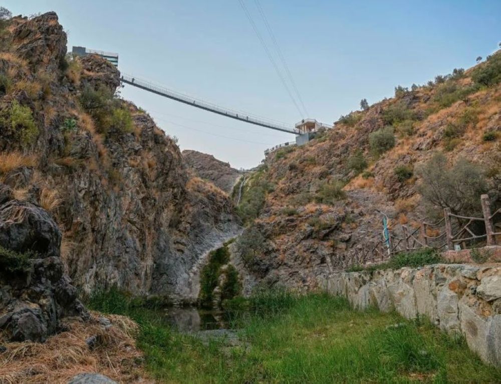 أخبار من السعودية.. عاجل: "الفضلي" يكشف عن إنجازات بيئية: ارتفاع عدد المتنزهات الوطنية إلى 500