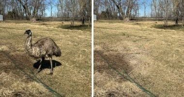 تكنولوجيا: آبل تسرق ميزة قديمة في هواتف جوجل وتُعيد الترويج لها من جديد