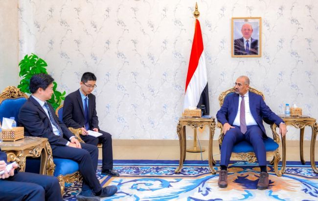 الرئيس الزُبيدي يؤكد حاجة بلادنا إلى الخبرات الصينية لإعادة تأهيل قطاع الكهرباء