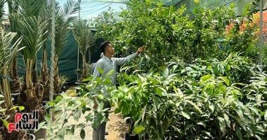 معمل تشخيص الفيروسات بمعهد بحوث أمراض النباتات يجدد اعتماده الدولى